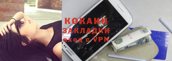 дурь Инта
