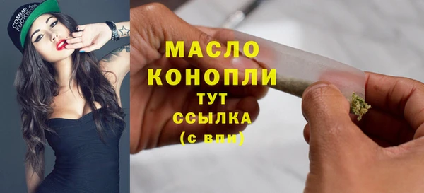 дурь Инта