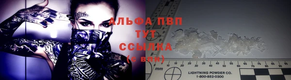твердый Иннополис