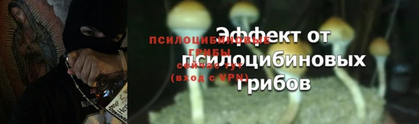 твердый Иннополис