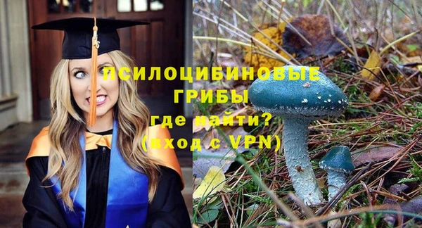 бутират Каменка