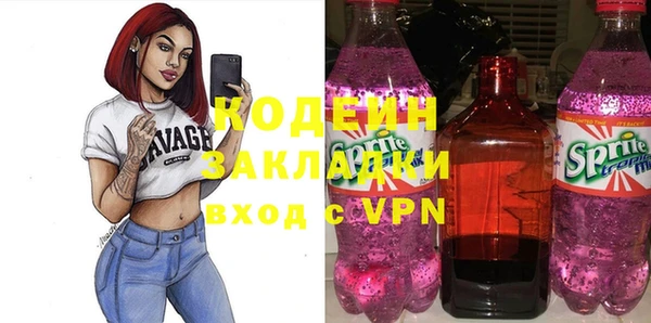 твердый Иннополис