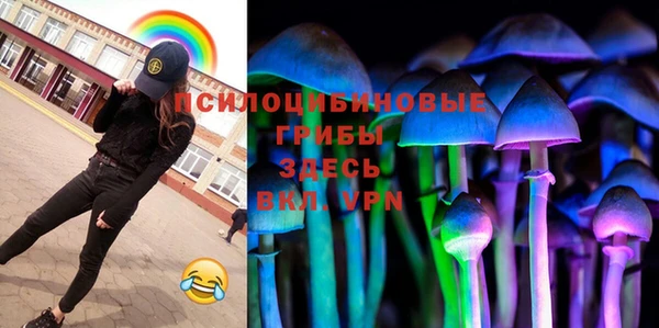 твердый Иннополис