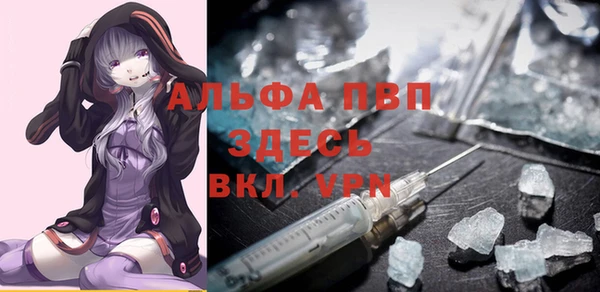дурь Инта