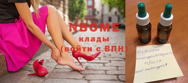 дурь Инта