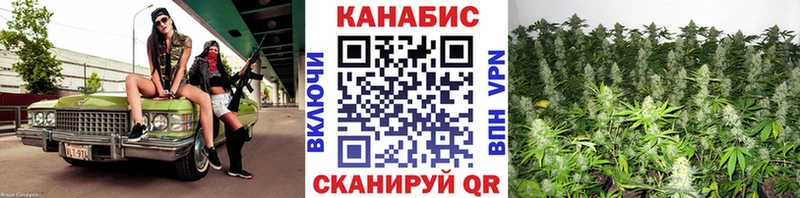Бошки Шишки сатива  Купить где  Гудермес 